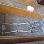 IMG_9013 web