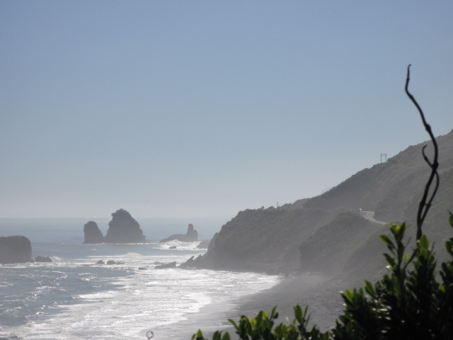 NZ Trip 345