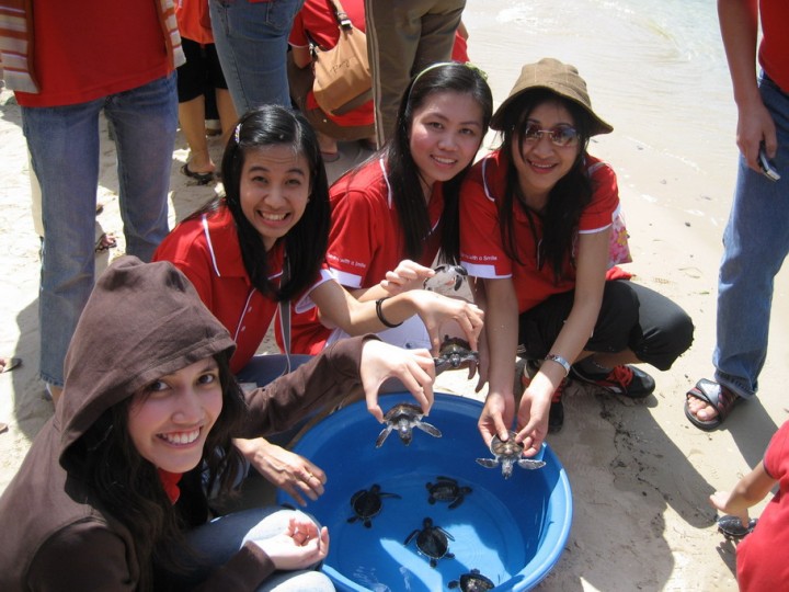 IMG_0537 copy1